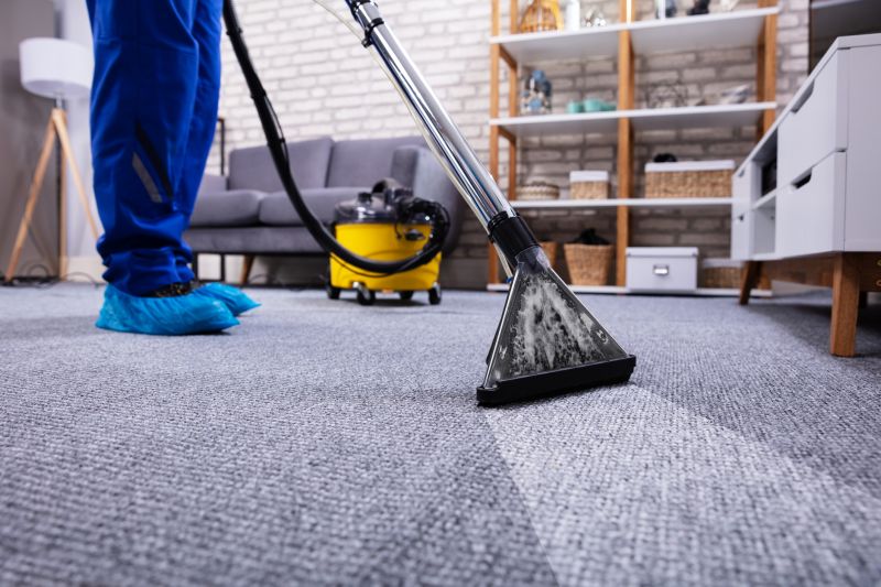 Professional Carpet Repair