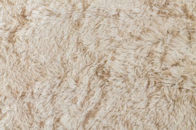 Shag Carpet Installation